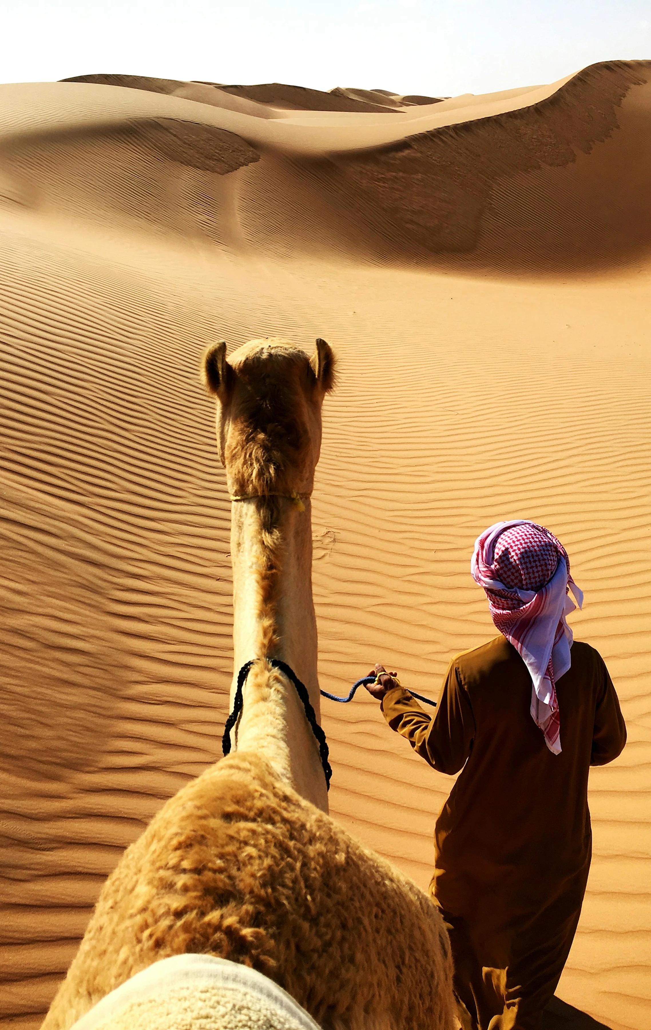 image-men-with-camel